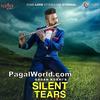  Silent Tears - Gagan Kokri 190Kbps Poster