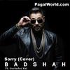  Sorry (Desi Version) Badshah n Gurinder Rai 190Kbps Poster