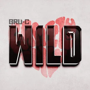  Wild Song Poster